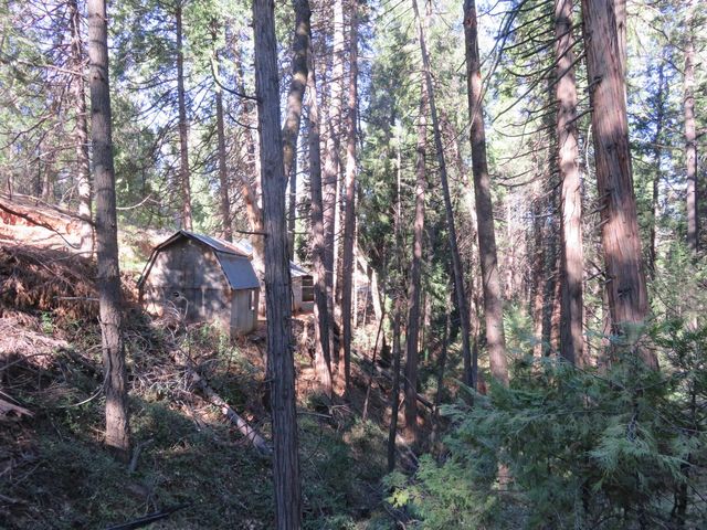 1360 Argonaut Ln, West Point, CA 95255