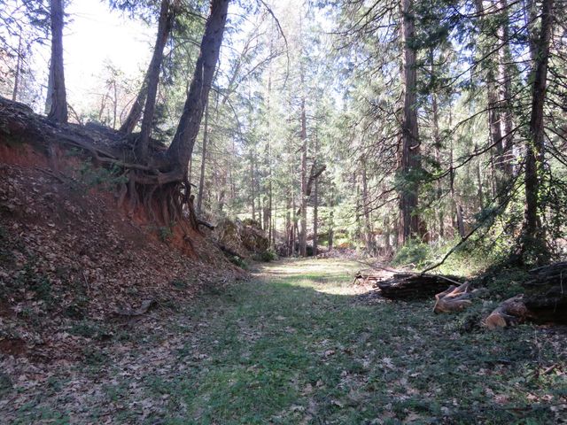 1360 Argonaut Ln, West Point, CA 95255