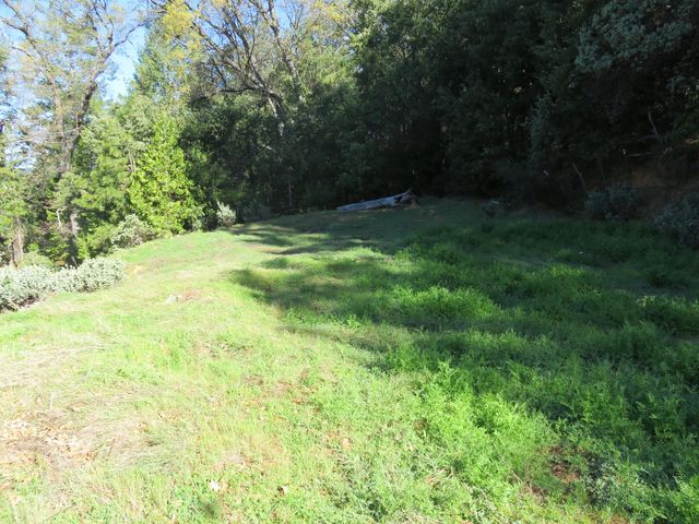 1360 Argonaut Ln, West Point, CA 95255