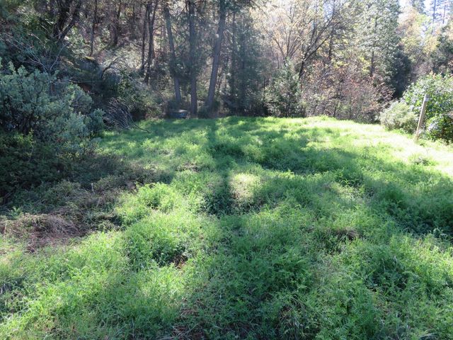 1360 Argonaut Ln, West Point, CA 95255