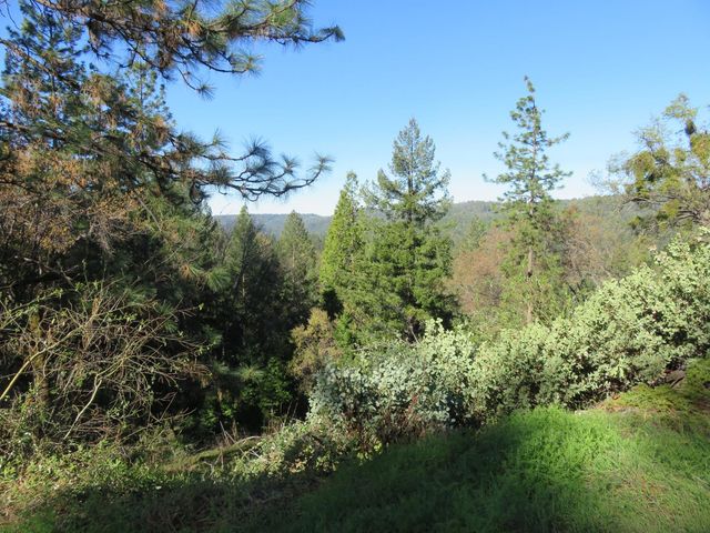 1360 Argonaut Ln, West Point, CA 95255