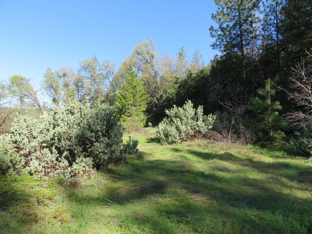 1360 Argonaut Ln, West Point, CA 95255