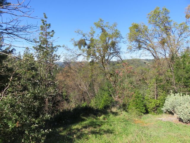 1360 Argonaut Ln, West Point, CA 95255