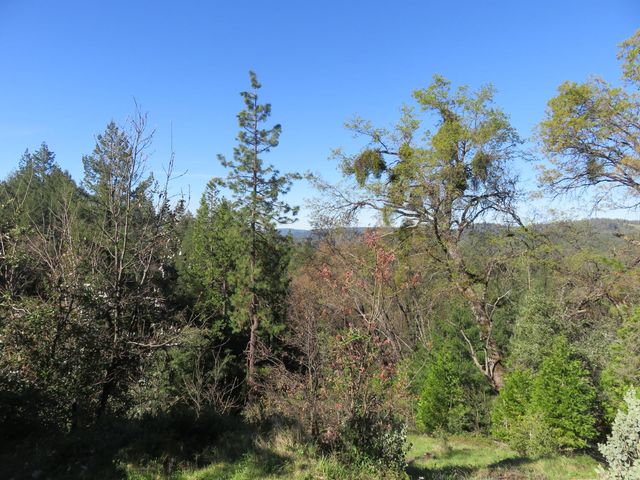 1360 Argonaut Ln, West Point, CA 95255