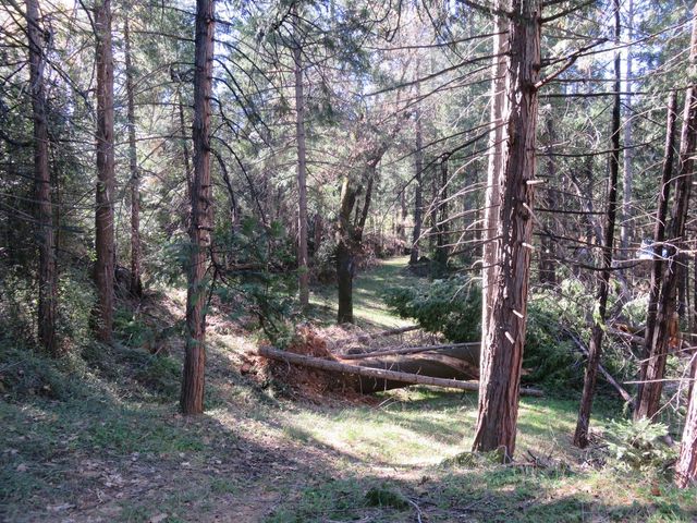 1360 Argonaut Ln, West Point, CA 95255