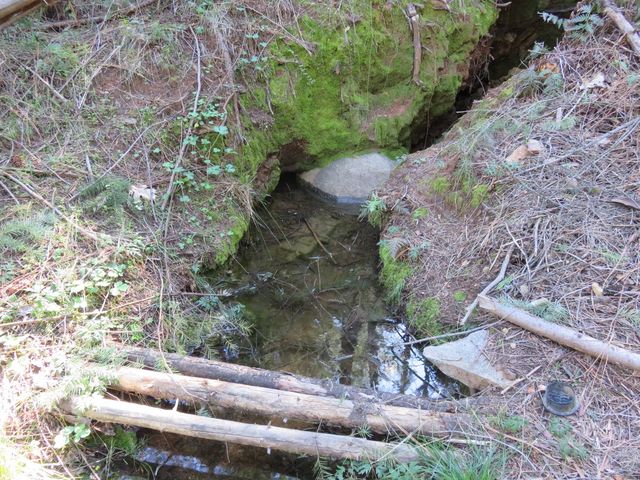 1360 Argonaut Ln, West Point, CA 95255