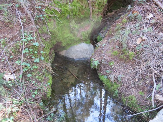 1360 Argonaut Ln, West Point, CA 95255