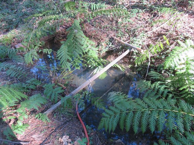 1360 Argonaut Ln, West Point, CA 95255