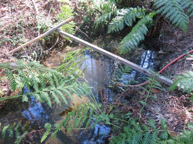 1360 Argonaut Ln, West Point, CA 95255