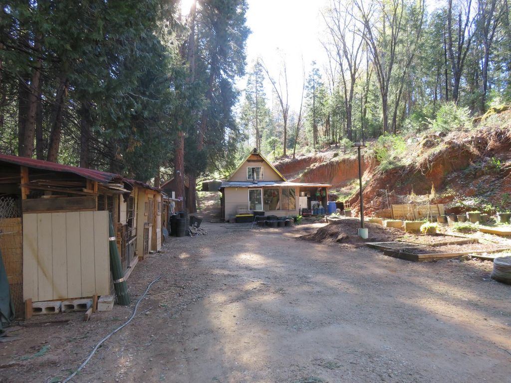 1360 Argonaut Ln, West Point, CA 95255