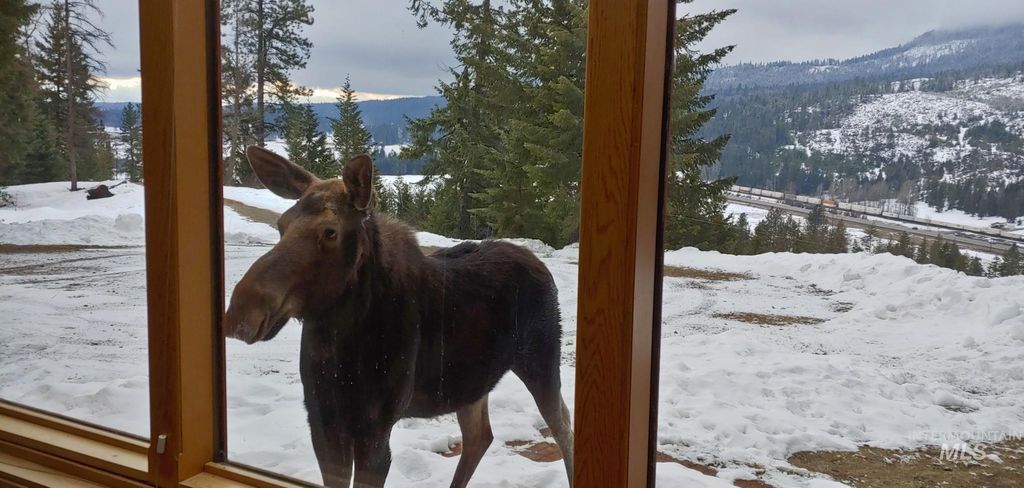 325 Wambli Wahohpi, Cocolalla, ID 83809 photo 29