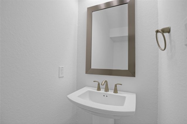 2718 Ripe Amber Cup Court, Richmond, TX 77406