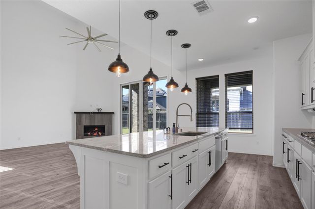 2718 Ripe Amber Cup Court, Richmond, TX 77406