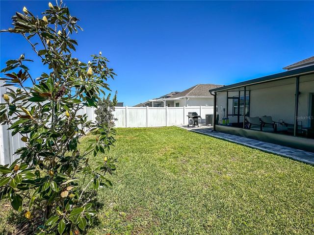 810 BOCAVISTA COURT, Davenport, FL 33896