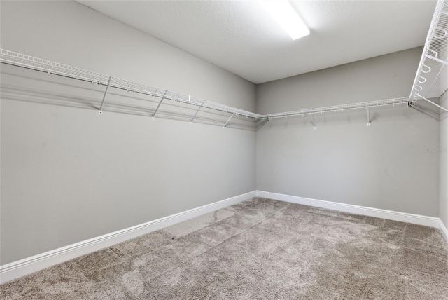 17674 EVERLONG DRIVE, Land O Lakes, FL 34638