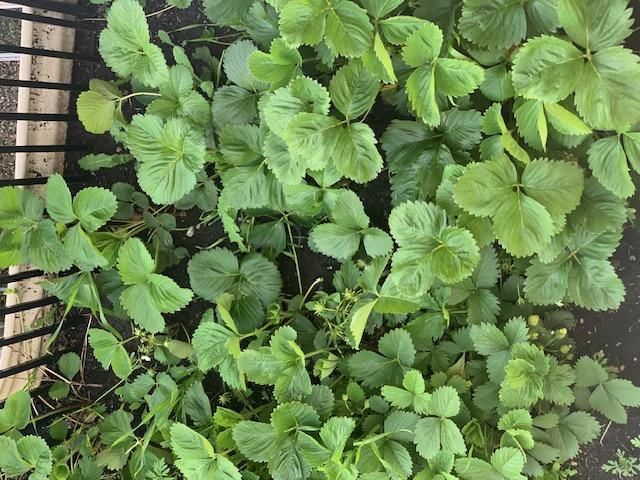 3037 Claire Drive E, West Fargo, ND 58078