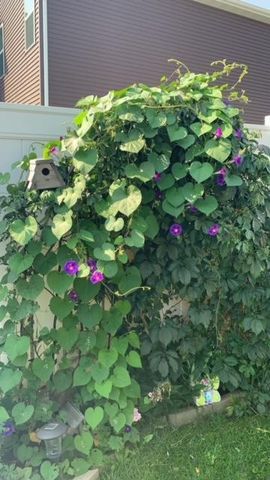 3037 Claire Drive E, West Fargo, ND 58078