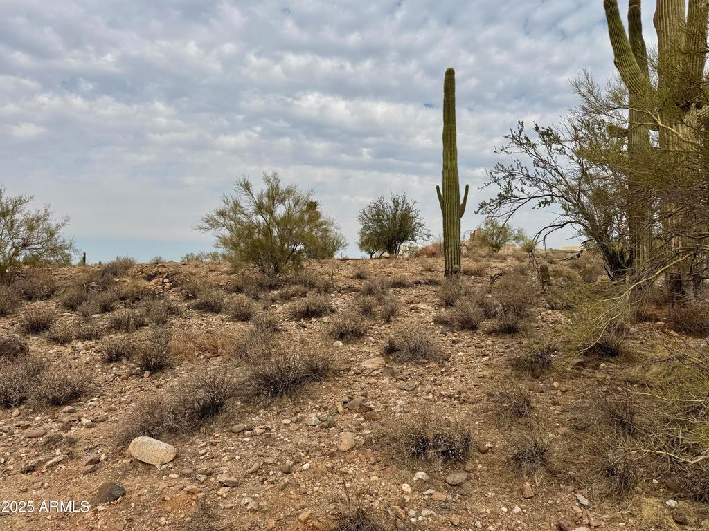 43925 N Saguaro Blossom Lane -, Morristown, AZ 85342 — photo 2