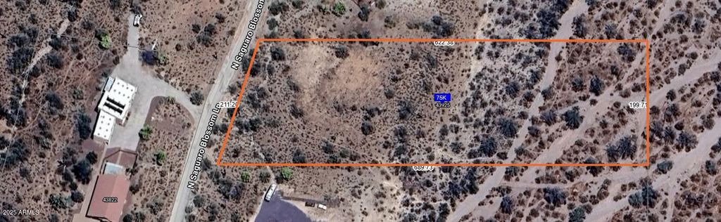 43925 N Saguaro Blossom Lane -, Morristown, AZ 85342 — photo 3