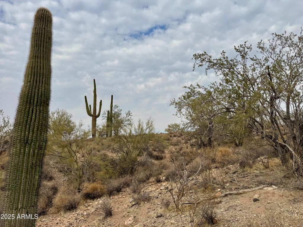 43925 N Saguaro Blossom Lane -, Morristown, AZ 85342 — photo 4