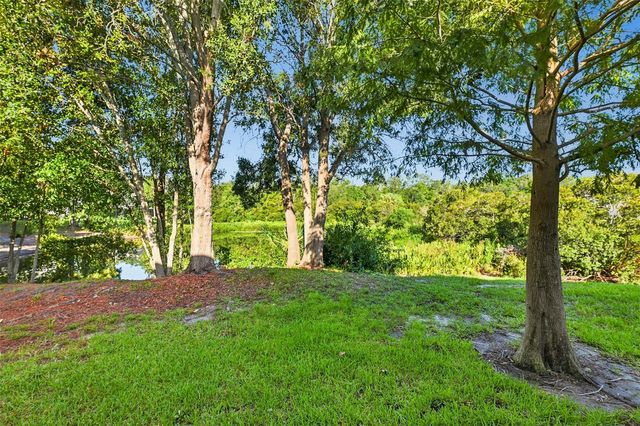 2109 WILD GRAPE PLACE, Riverview, FL 33578