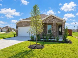 10807 Turkey Creek Run Drive, Beasley, TX 77417