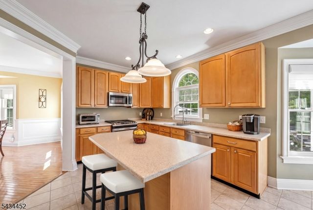 168 TANGLEWOOD PASS, Jefferson Twp., NJ 07849
