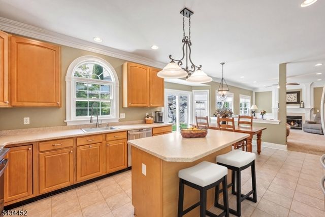 168 TANGLEWOOD PASS, Jefferson Twp., NJ 07849