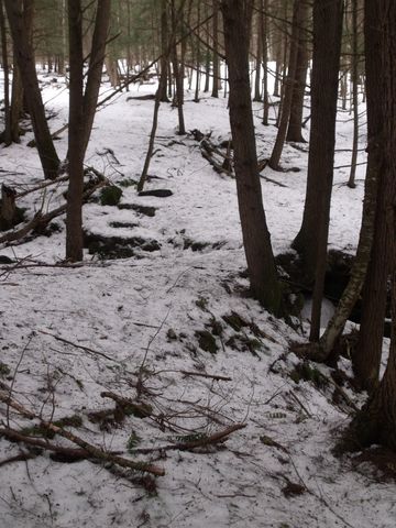 3186 South Road, Woodstock, VT 05091