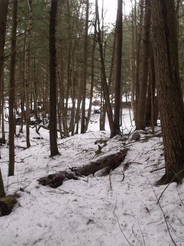 3186 South Road, Woodstock, VT 05091