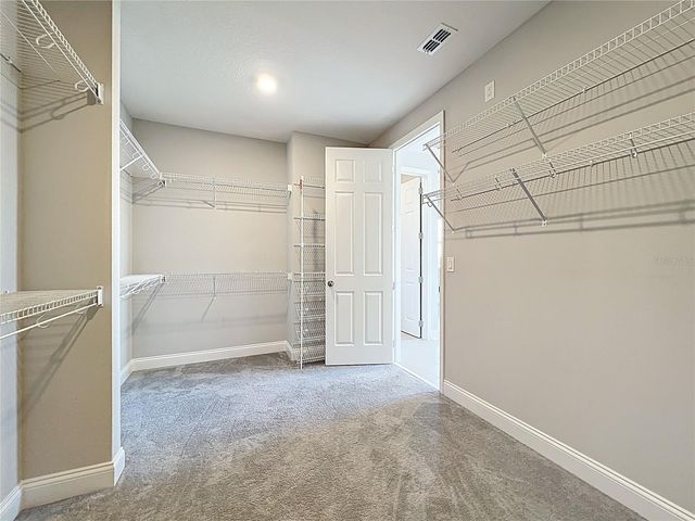 13185 BLOSSOM VALLEY DRIVE, Clermont, FL 34711