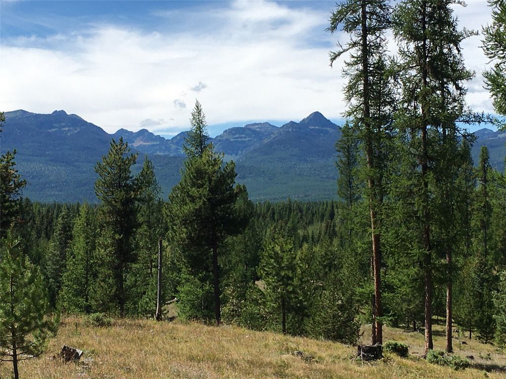 355 Tanager Trail, Condon, MT 59826 photo 14