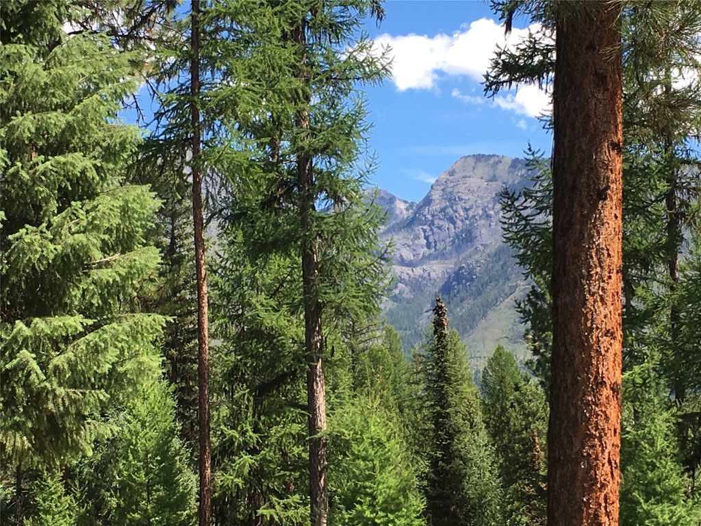 355 Tanager Trail, Condon, MT 59826 photo 15