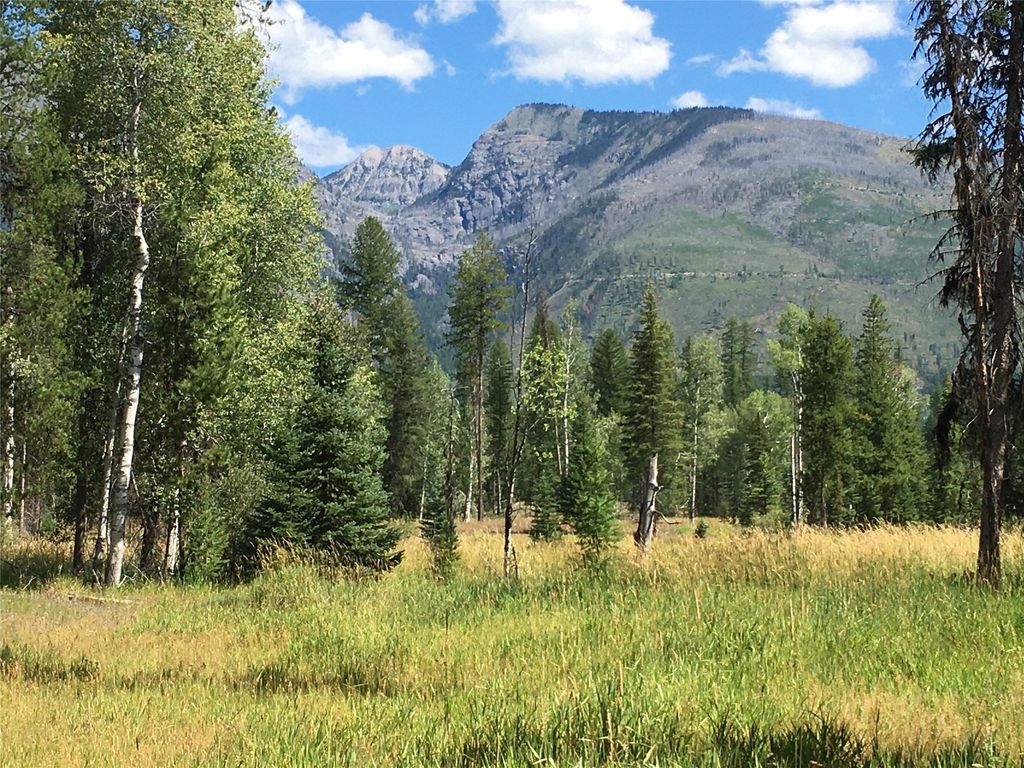 355 Tanager Trail, Condon, MT 59826 photo 16