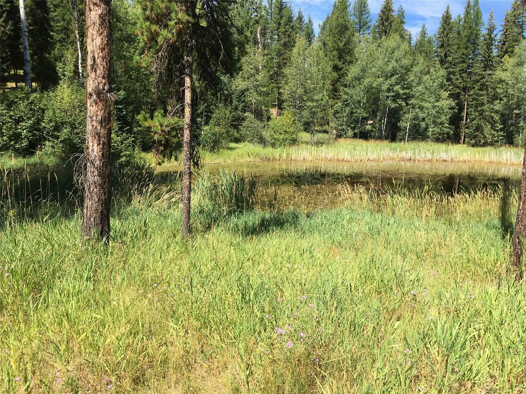 355 Tanager Trail, Condon, MT 59826 photo 17