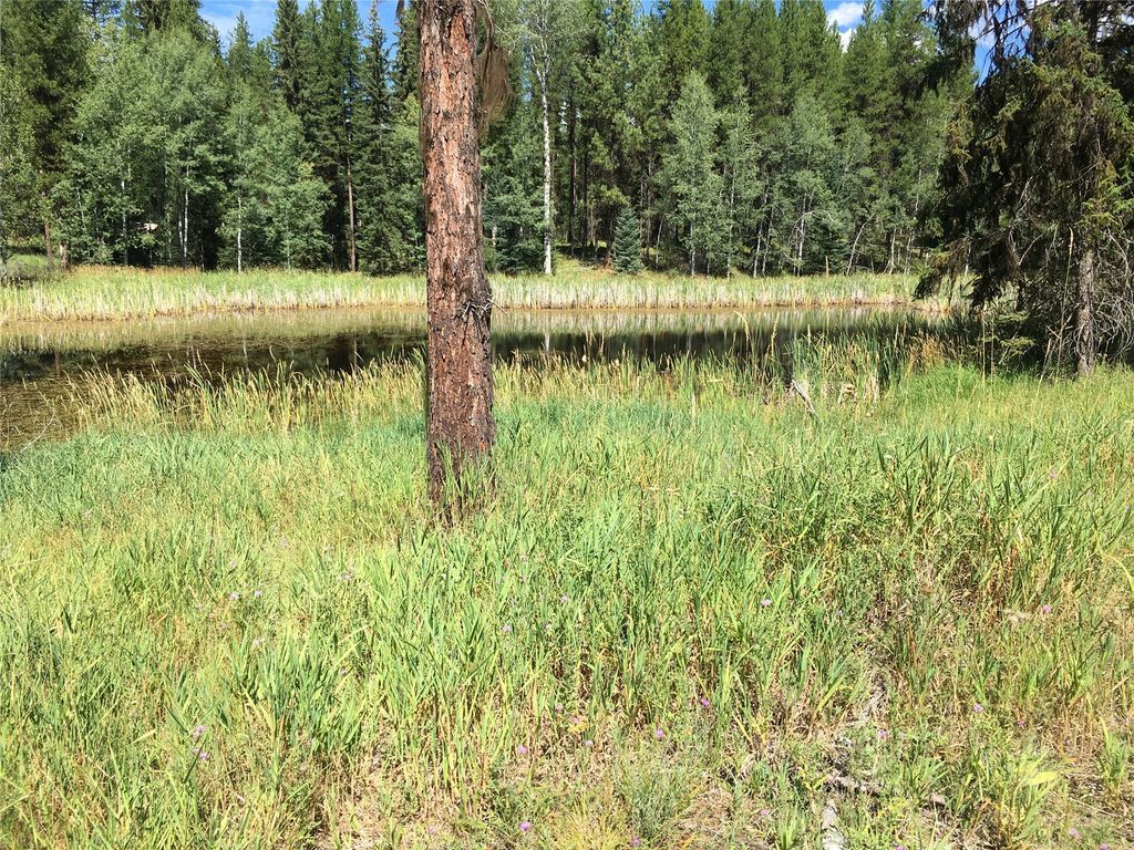 355 Tanager Trail, Condon, MT 59826 photo 18