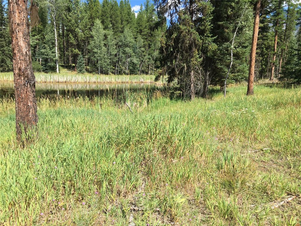 355 Tanager Trail, Condon, MT 59826 photo 19