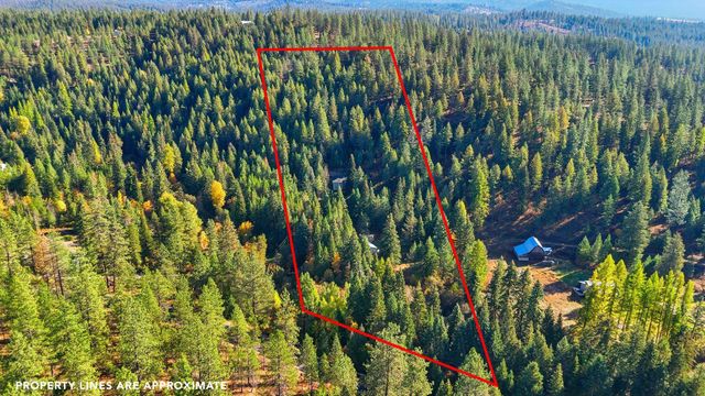 30324 N Elk Chattaroy Rd, Chattaroy, WA 99003