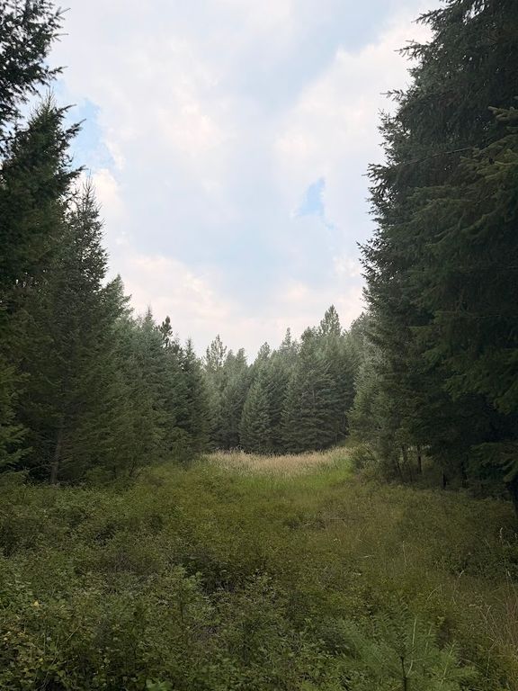 47466 Harmony Lane, Proctor, MT 59929 photo 1