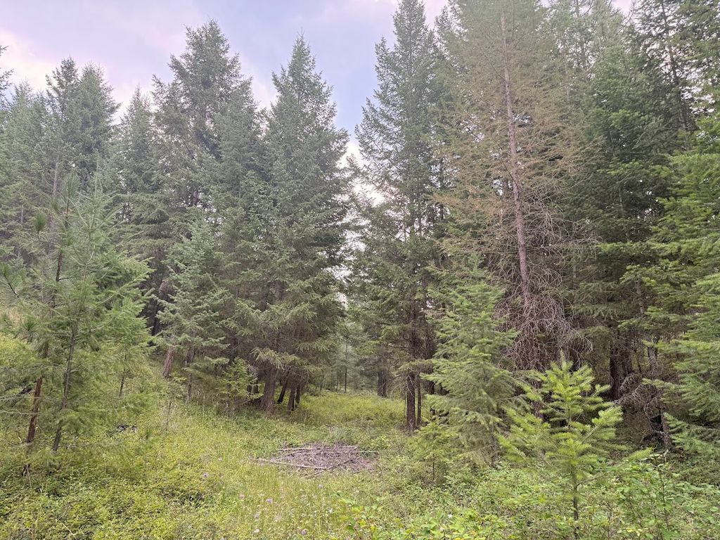 47466 Harmony Lane, Proctor, MT 59929 photo 2