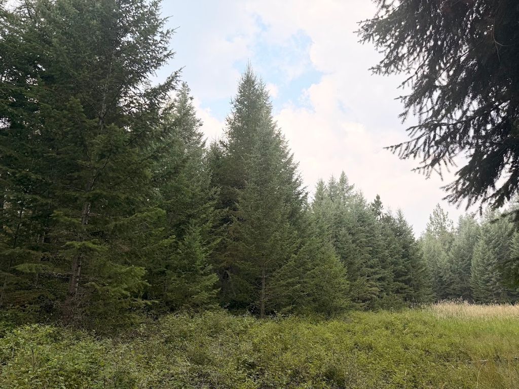47466 Harmony Lane, Proctor, MT 59929 photo 3