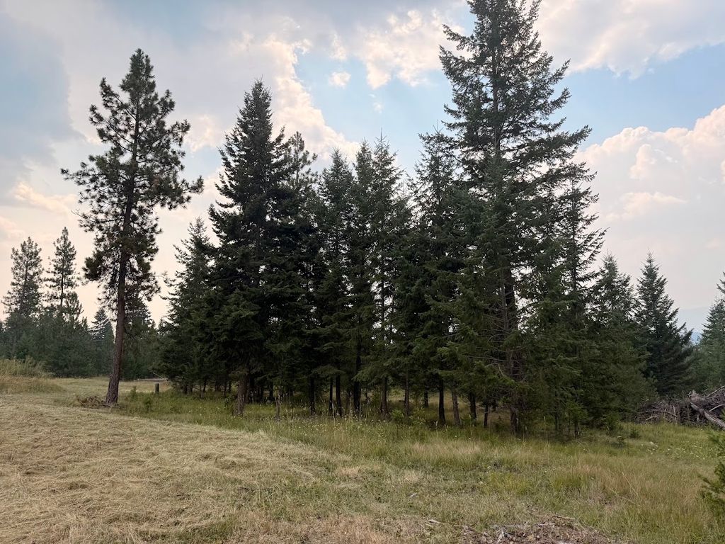 47466 Harmony Lane, Proctor, MT 59929 photo 4