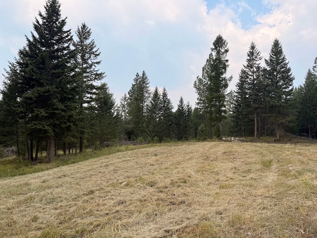 47466 Harmony Lane, Proctor, MT 59929 photo 5