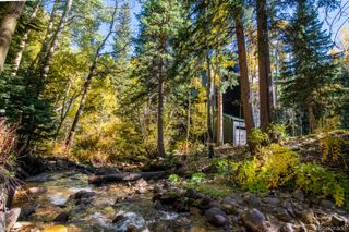 48 Moss Lane, Dumont, CO 80436