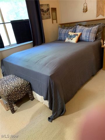 2112 Acacia Park Drive 220, Lyndhurst, OH 44124