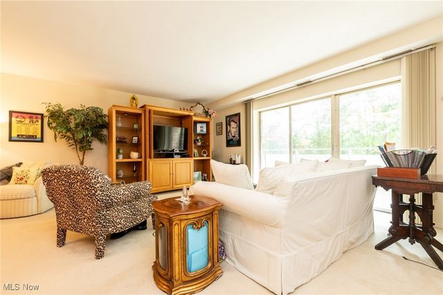 2112 Acacia Park Drive 220, Lyndhurst, OH 44124