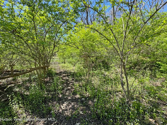 174 Cedar Avenue, Poughkeepsie, NY 12603