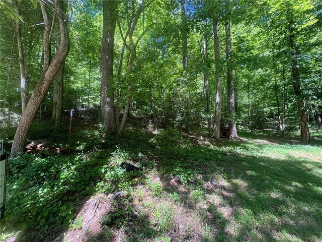 0 Bible Baptist Road, Ellijay, GA 30536