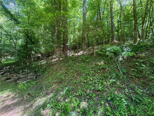 0 Bible Baptist Road, Ellijay, GA 30536