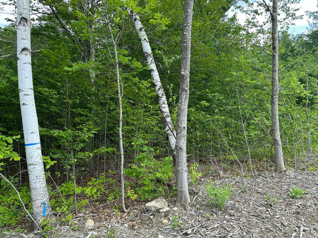 TBD Dingley Road, Bowdoinham, ME 04008 — photo 3